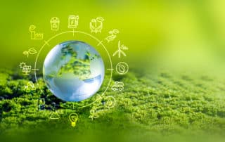 Estados de Información No Financiera