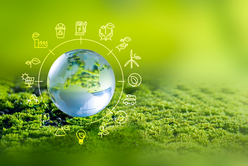 Estados de Información No Financiera