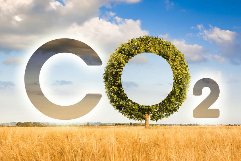 Reduction of the amount of CO2 emissions – concept image with CO2 icon text and tree shape in rural scene